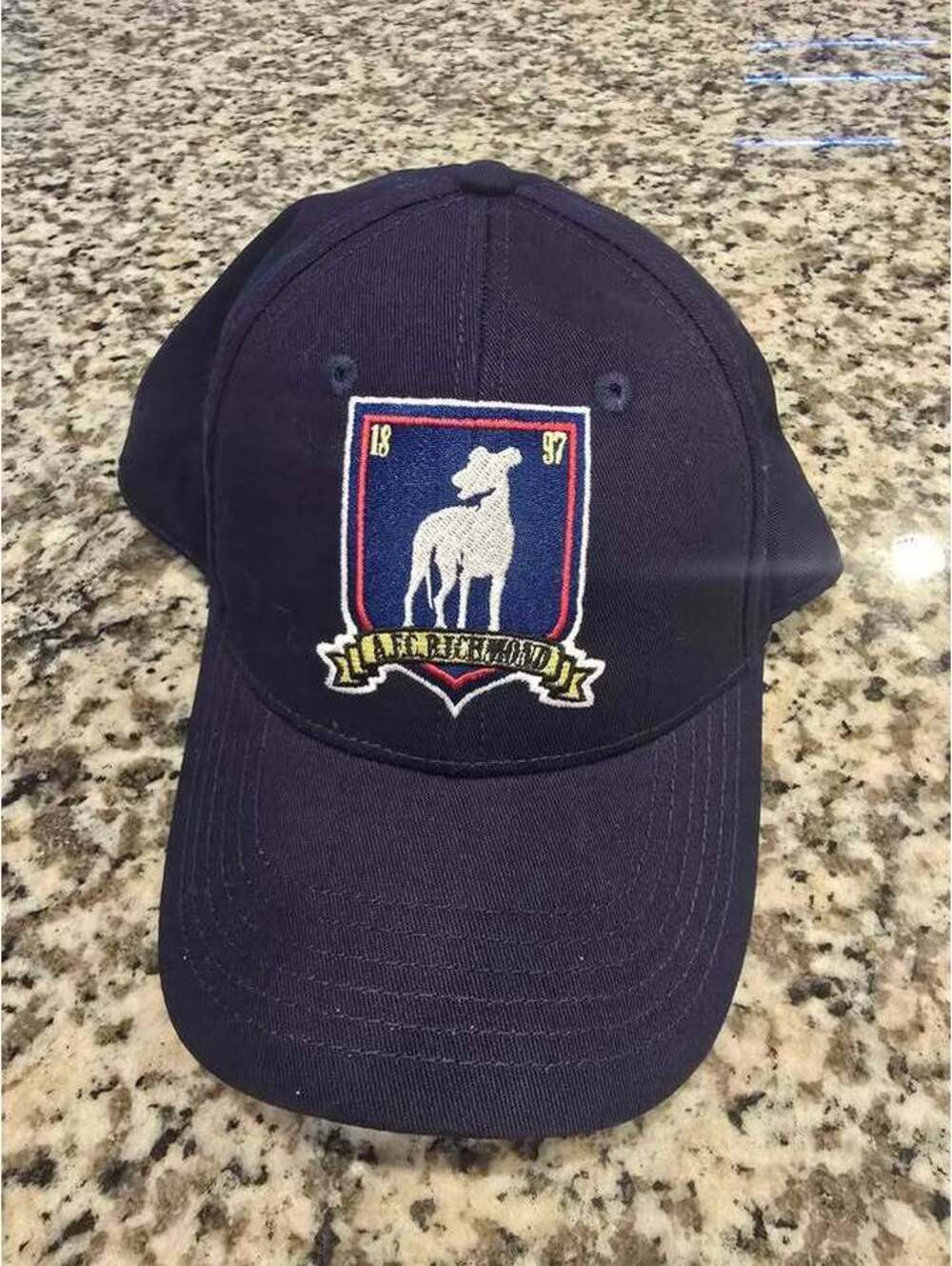 Ted Lasso Hat Snapback